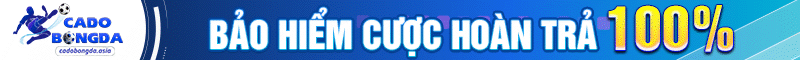 cadobongda Tài Trợ