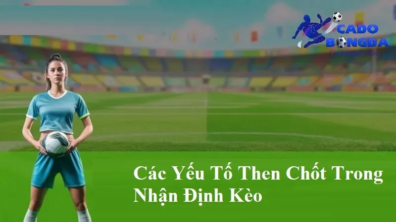 Các yếu tố then chốt trong nhận định kèo