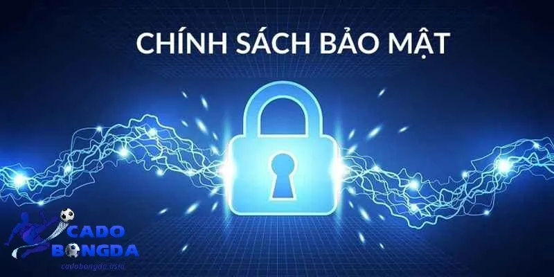 Các cách thay đổi thông tin Cadobongda lưu trữ thông tin như thế nào