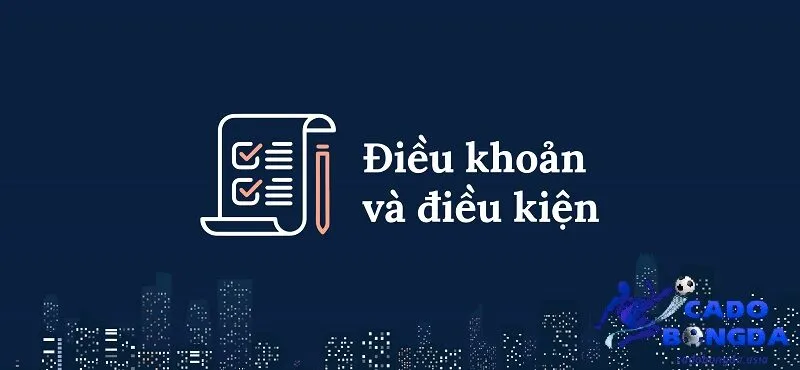 Đôi nét về điều khoản điều kiện