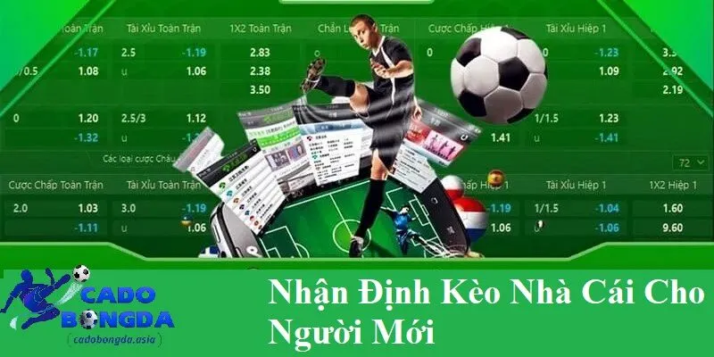 Giới thiệu nhận định kèo nhà cái cho người mới