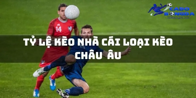 Hiểu hơn về các giải đấu và đưa ra chiến lược phù hợp