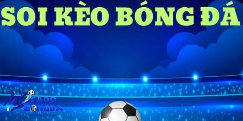 Kinh nghiệm chơi soi kèo bóng đá Kinh nghiệm soi kèo bóng đá