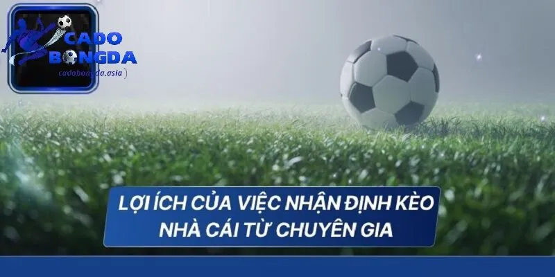 Lợi ích của việc nhận định kèo nhà cái chuyên gia