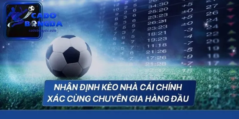Lý do nên tin tưởng nhận định kèo nhà cái chuyên gia