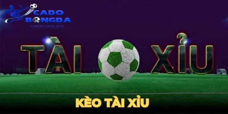 Một vài yếu tố có thể ảnh hưởng đến kèo Những yếu tố quan trọng tác động đến tỷ lệ thắng kèo