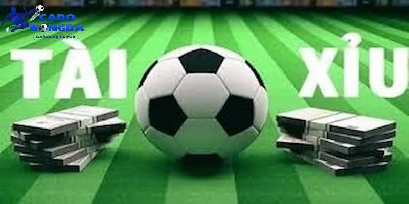 Những yếu tố quyết định tính chính xác