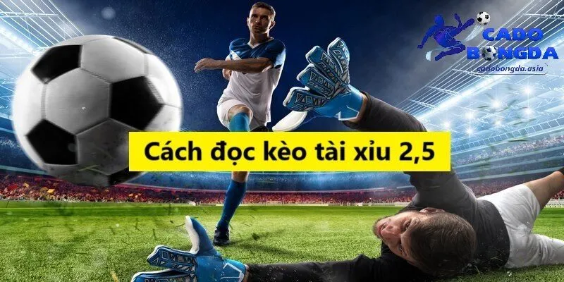 Cách chơi kèo tài xỉu 2.5 cho người chơi Phân tích chi tiết về kèo tài xỉu 2.5