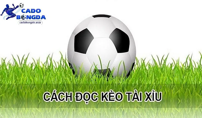 Phân tích chuyên sâu trước khi đặt kèo