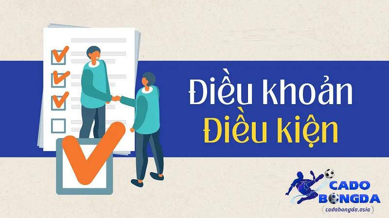 Quyền lợi và nghĩa vụ của cadobongda