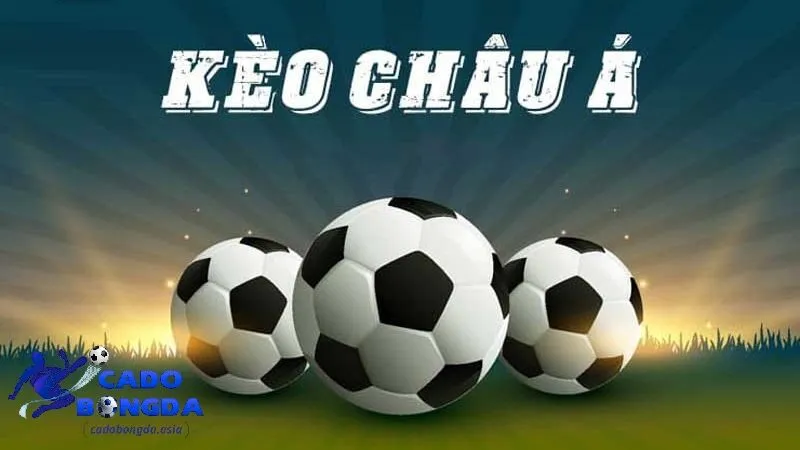 kèo Châu Á là gì? Tổng quan kèo Châu Á cho người chơi